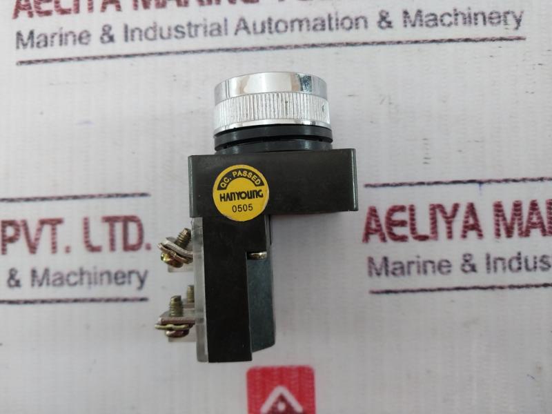 Hanyoung Cr-251 Push Button Switch Ac250V-5A