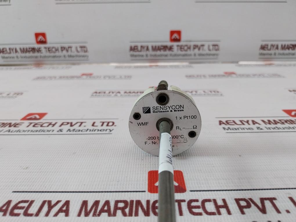 Hartmann & Braun 1Xpt100 Temperature Sensor 350-mm