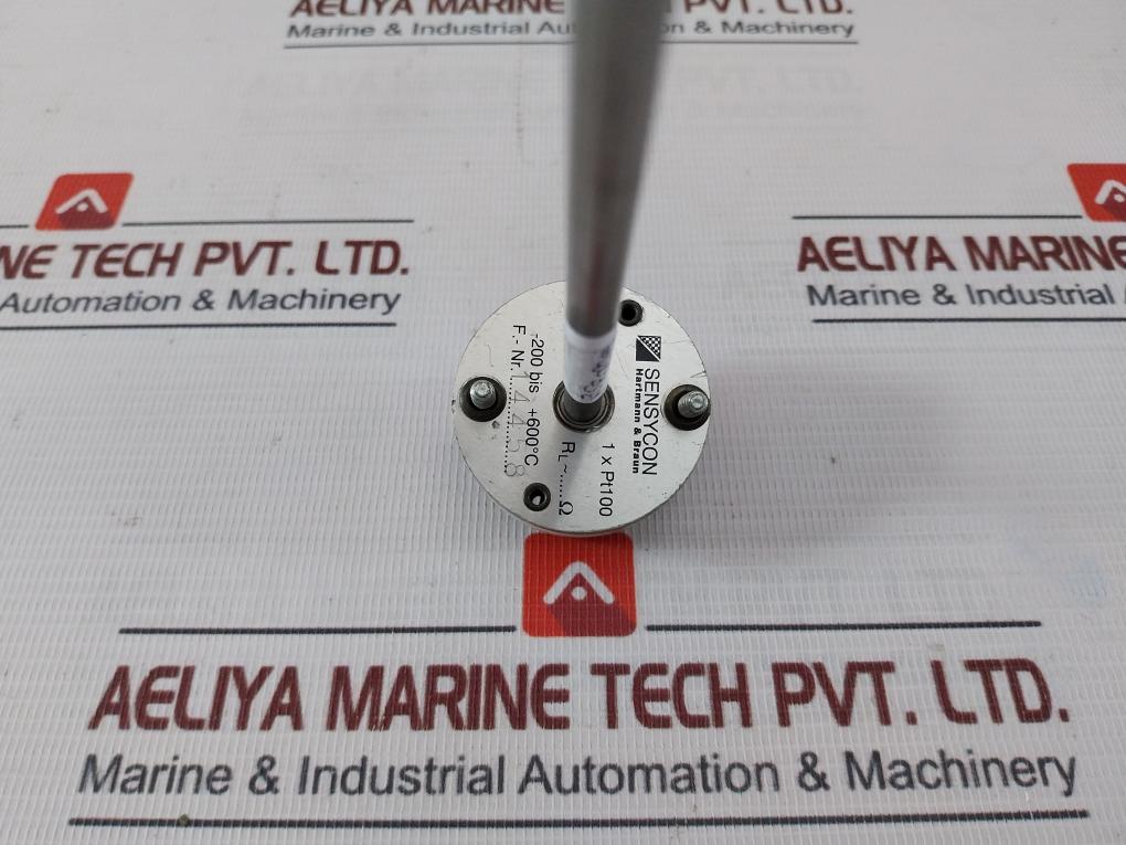 Hartmann & Braun 1Xpt100 Temperature Sensor 350-mm