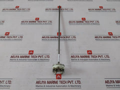 Hartmann & Braun 1Xpt100 Temperature Sensor 350-mm
