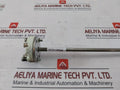 Hartmann & Braun 1Xpt100 Temperature Sensor 350-mm