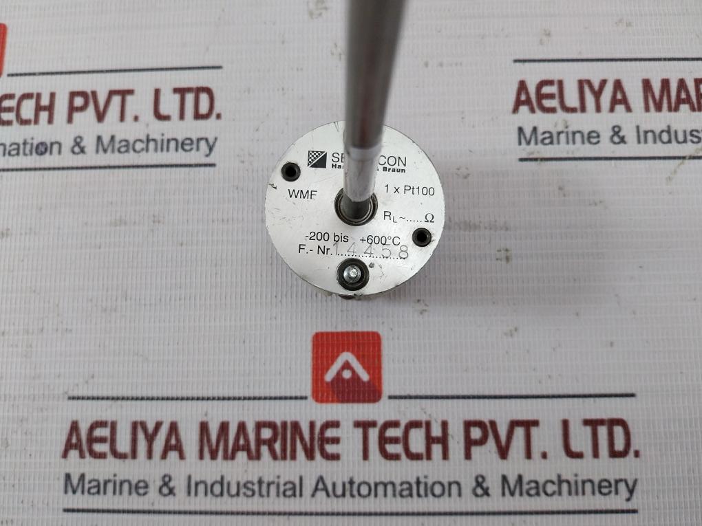 Hartmann & Braun 1Xpt100 Temperature Sensor 350-mm