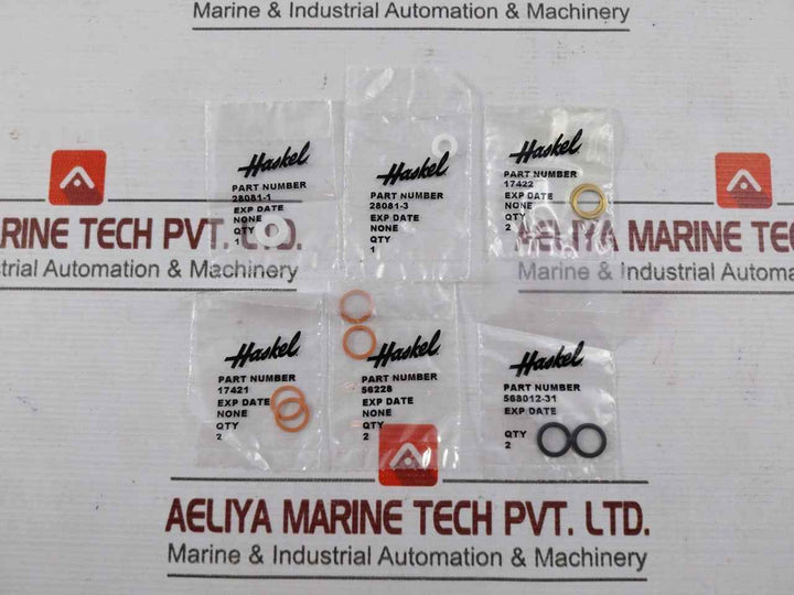 Haskel 17325 Check Valve Seal Kit 40037309