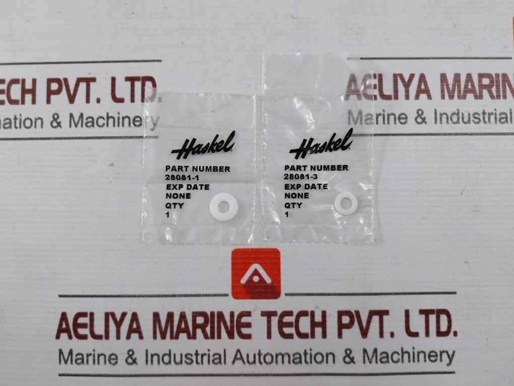 Haskel 17325 Check Valve Seal Kit 40037309