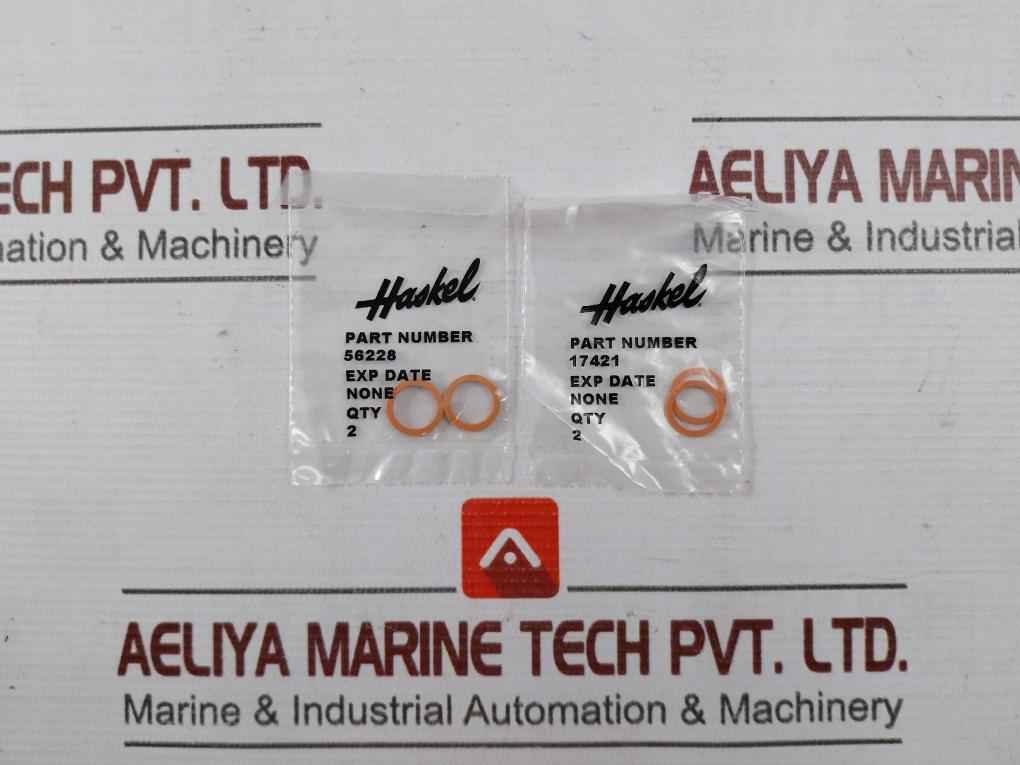 Haskel 17325 Check Valve Seal Kit 40037309