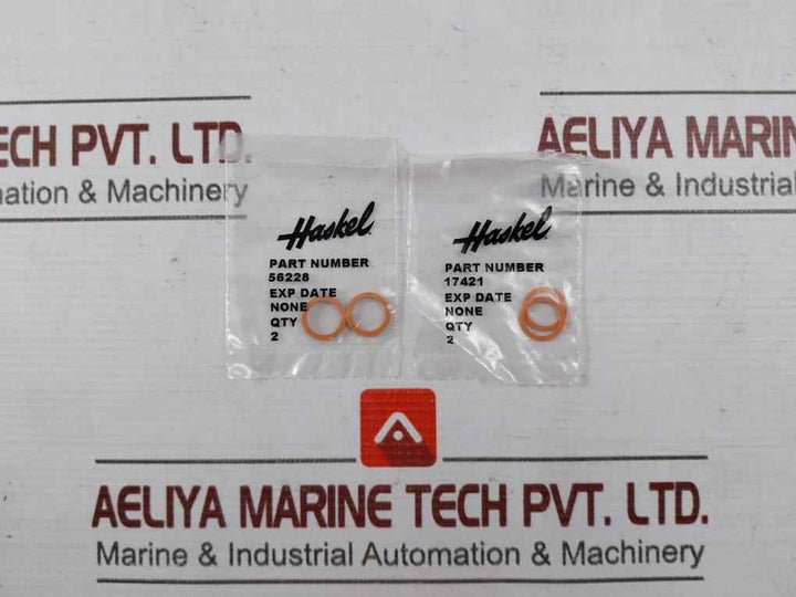 Haskel 17325 Check Valve Seal Kit 40037309