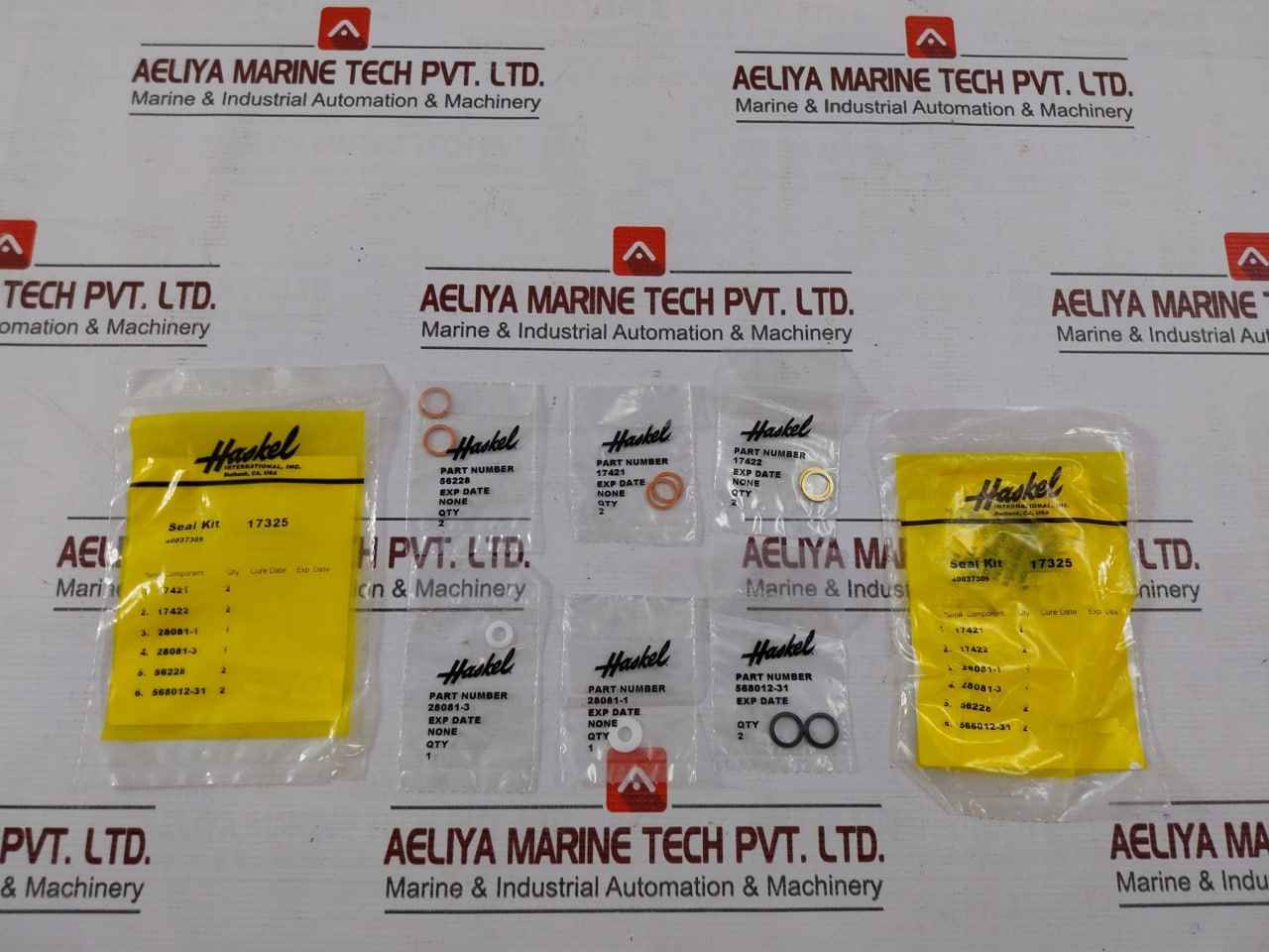 Haskel 17325 Check Valve Seal Kit 40037309