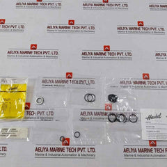 Haskel 17329 Air Cycling Seal Kit 30292995