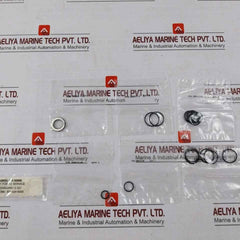 Haskel 17329 Air Cycling Seal Kit 30292995