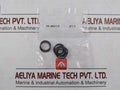 Haskel 17329 Air Cycling Seal Kit 30292995