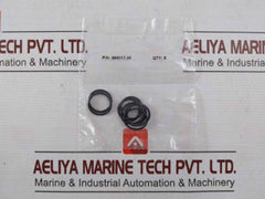 Haskel 17329 Air Cycling Seal Kit 30292995