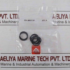 Haskel 17329 Air Cycling Seal Kit 30292995