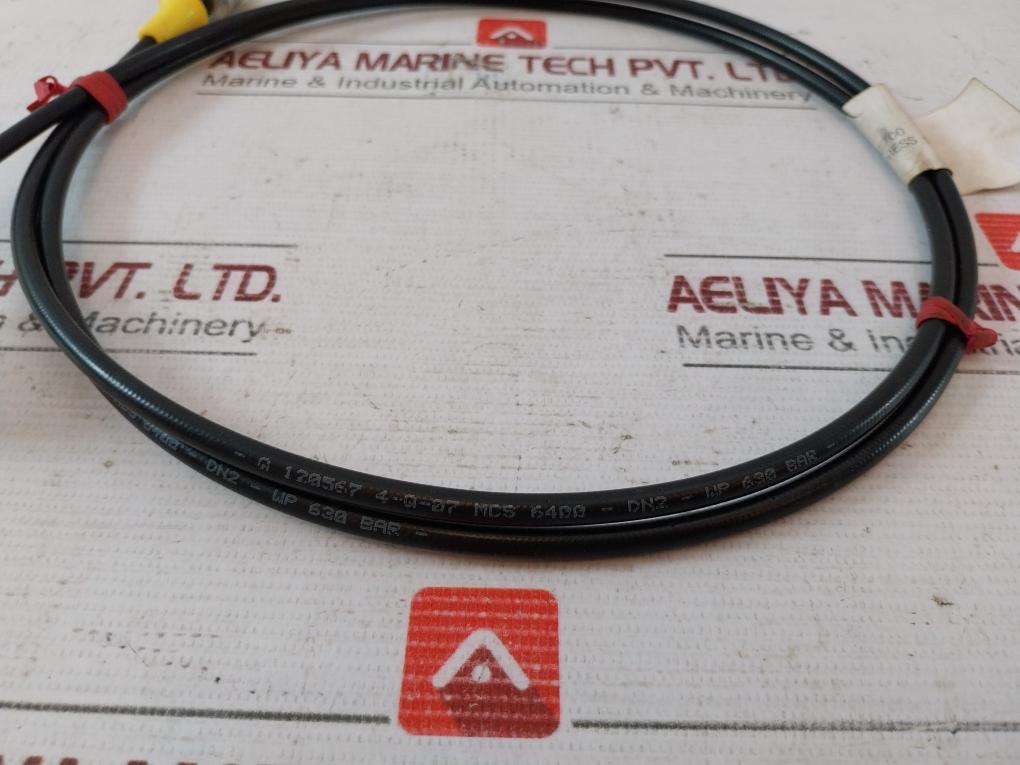 Hatlapa Test Hose For Servo Pressure Gauge Wp - 630 Bar 17G-000-02L