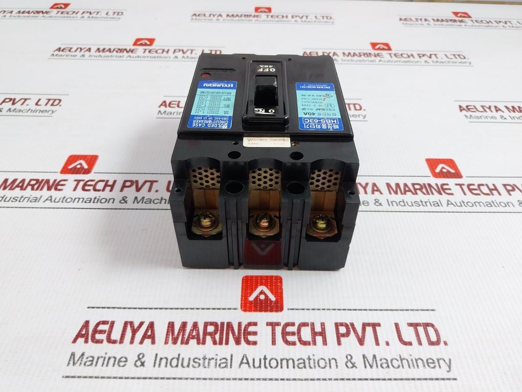 Hbs-63C Hyundai 3P Molded Case Circuit Breaker 660V