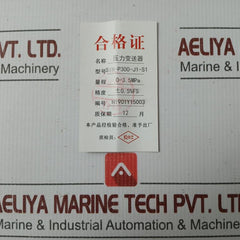 Henan Pressure Transmitter 0-3.5Mpa Sin-p300-j1-s1-c2-v1-g2