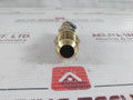 Henry 5231B Pressure Relief Valve