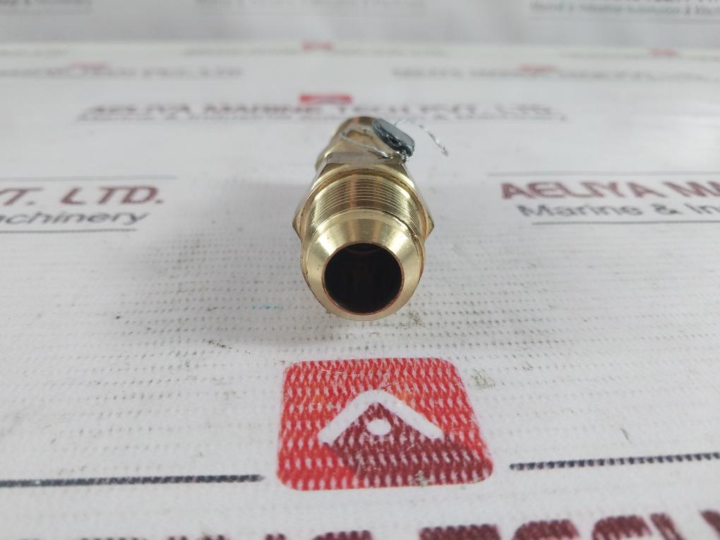 Henry 5231B Pressure Relief Valve