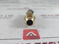 Henry 5231B Pressure Relief Valve