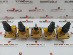Henry Pp20-691 Seal Cap Valve