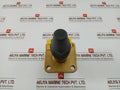 Henry Pp20-691 Seal Cap Valve
