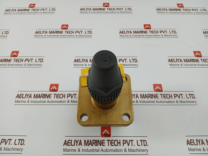 Henry Pp20-691 Seal Cap Valve