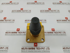 Henry Pp20-691 Seal Cap Valve