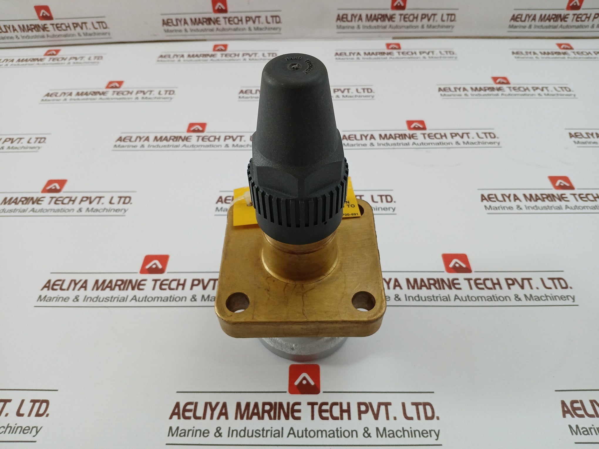 Henry Pp20-691 Seal Cap Valve