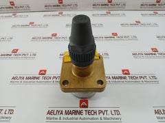 Henry Pp20-691 Seal Cap Valve