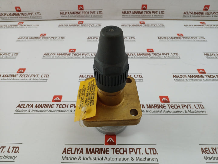 Henry Pp20-691 Seal Cap Valve