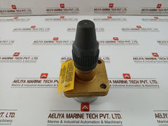 Henry Pp20-691 Seal Cap Valve