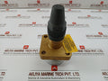 Henry Pp20-691 Seal Cap Valve