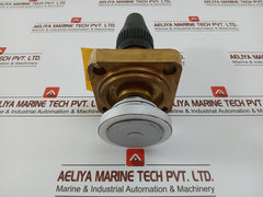 Henry Pp20-691 Seal Cap Valve