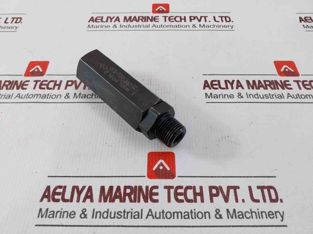 Hirose Ofs-t04-85-12T Hydraulic Flow Control Valve