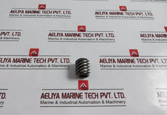 Hobart 00-291221 Steel Worm Gear 553.61.09.003