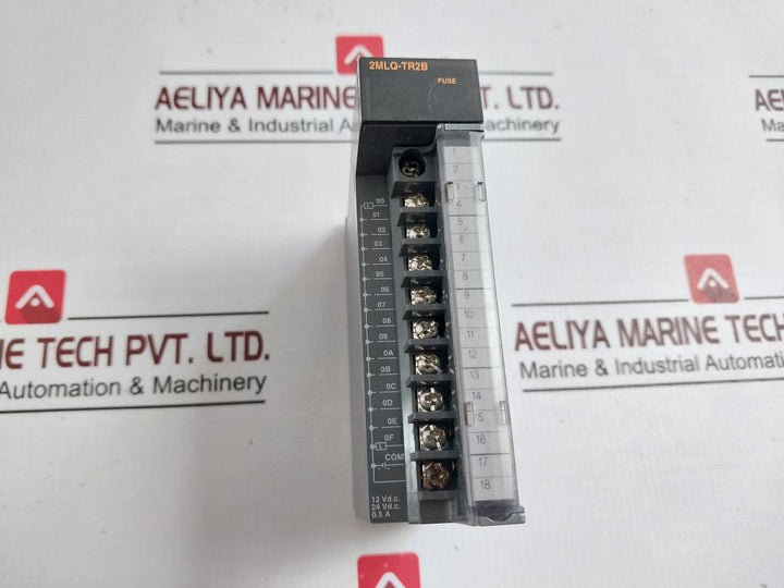 Honeywell 2Mlq-tr2B Plc Transistor Digital Output Module 16Ch Dc 12/24V