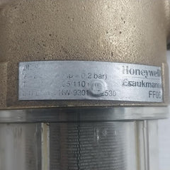 Honeywell Ff06 Rinsable Fine Filter