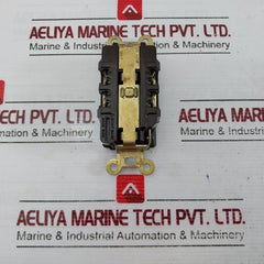 Hubbell 15A 250V Receptacle Duplex Module