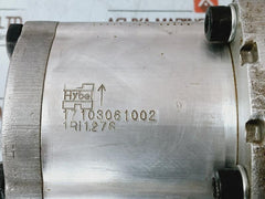 Hybe 17103061002 Cast Iron Hydraulic Gear Pump 1Ri1276