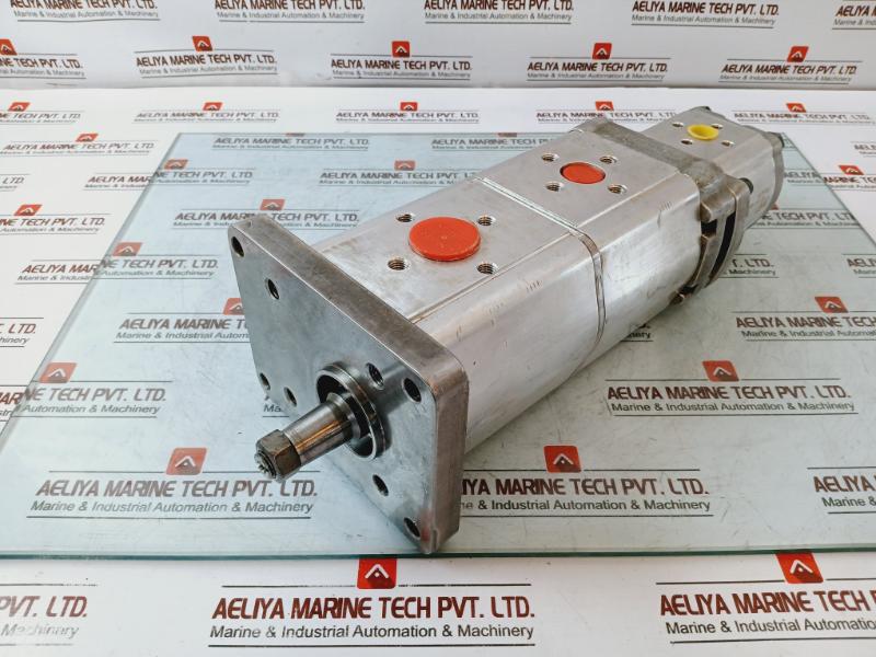 Hybe 17103061002 Cast Iron Hydraulic Gear Pump 1Ri1276