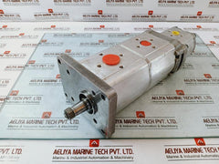 Hybe 17103061002 Cast Iron Hydraulic Gear Pump 1Ri1276