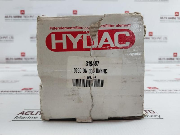 Hydac 0250 Dn 006 Bn4Hc Pressure Filter Element W/Bj-a 319487