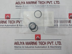 Hydril 20-507013 Cylinder Gasket Kit