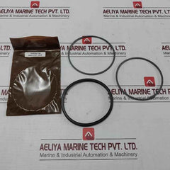 Hydril 3121961Sk Spring Subapplication Seal Set (Sealed Pack)