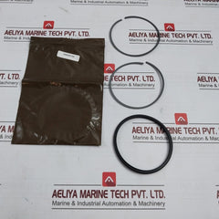 Hydril 3121961Sk Seal Kit For Diverter T-seal, Piston 1930307-44