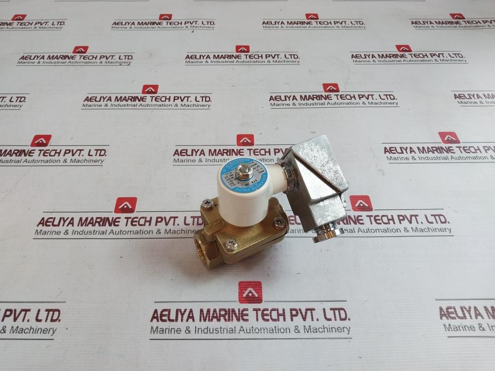 Hyoshin Electric Hpw 206 Solenoid Valve 50/60Hz 0-10Kg/Cm2
