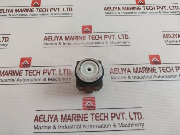 Idec Abn101/ Abn102 Push Button Switch 10A 600V
