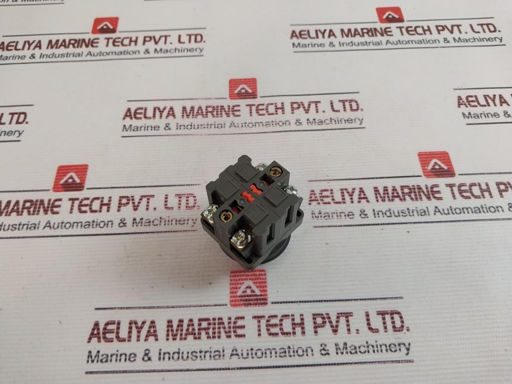 Idec Abn101/ Abn102 Push Button Switch 10A 600V