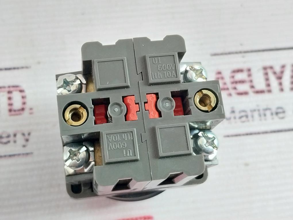 Idec Abn101/ Abn102 Push Button Switch 10A 600V