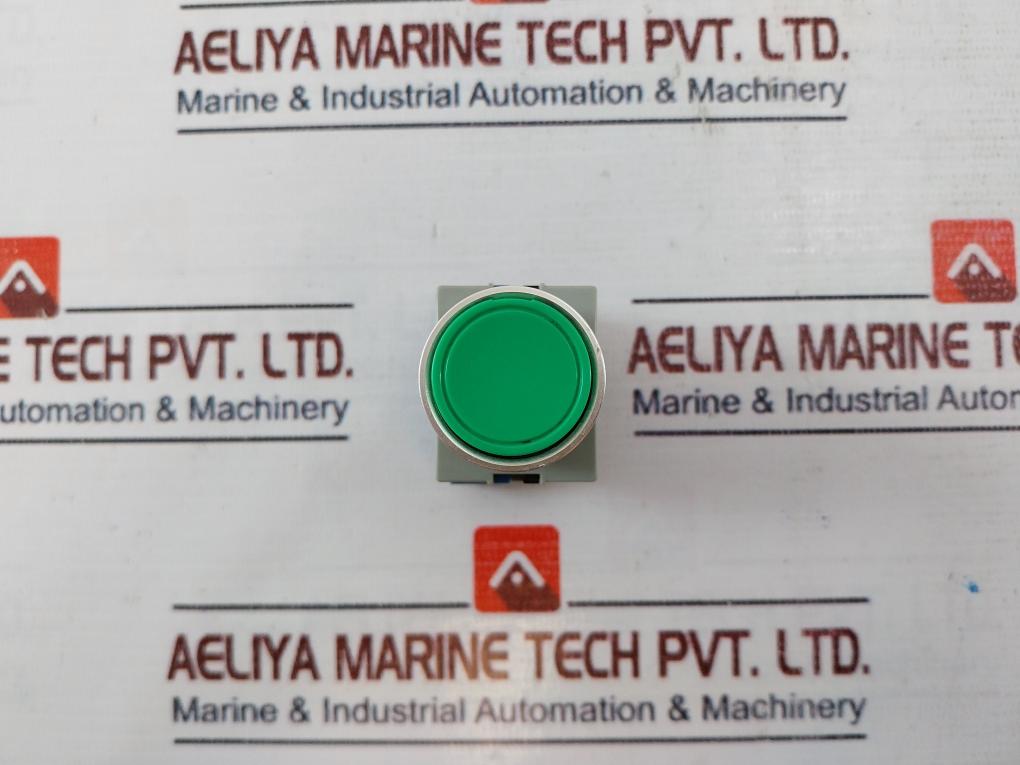 Idec ABW/ HW-G10 Push Button with Contact Block 10A 600V