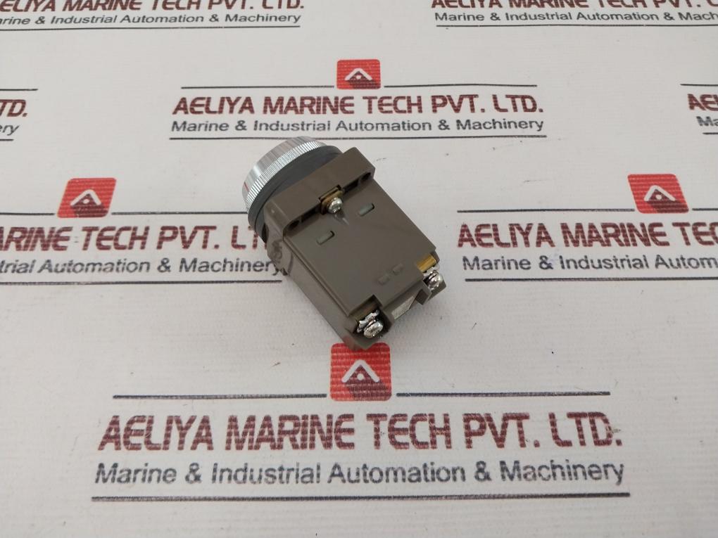 Idec Apn116R Button Switch Control Unit 100/110V 50-60Hz